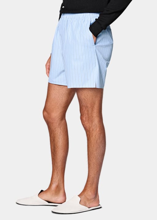 Light Blue Striped Straight Leg Shorts