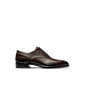 SUITSUPPLY  Brown Oxford