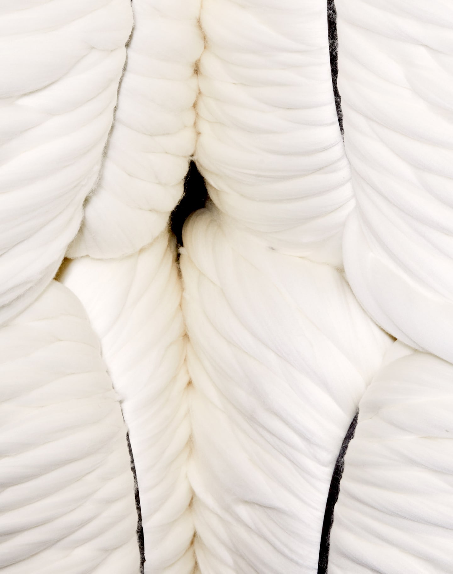 An image featuring white raw wool, before the spinning process. 