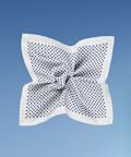 Pocket Squares