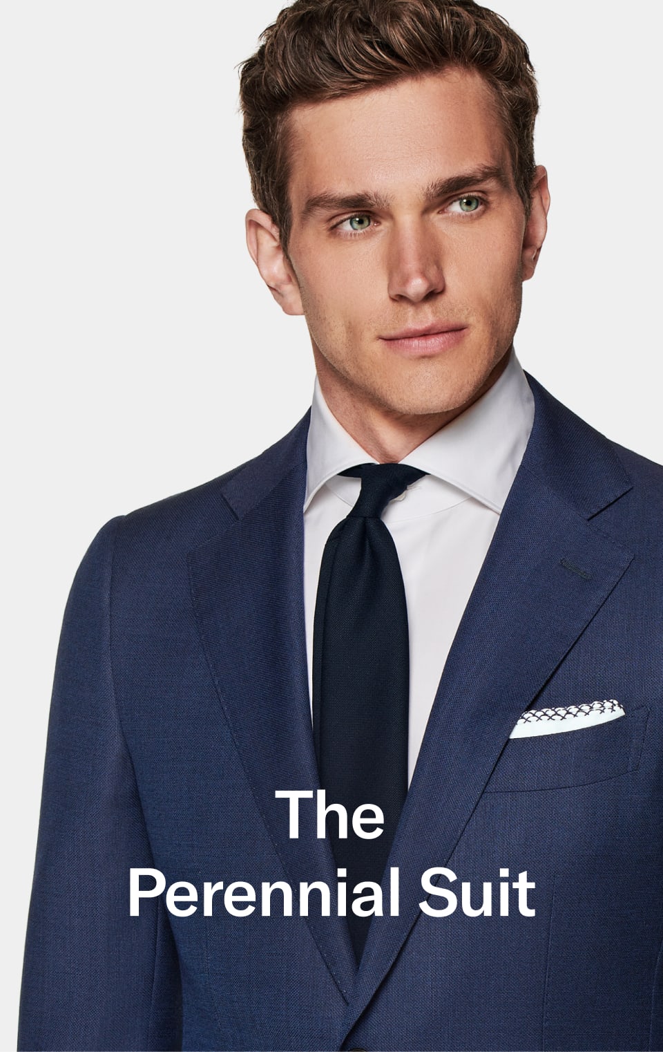 The Perennial Suit