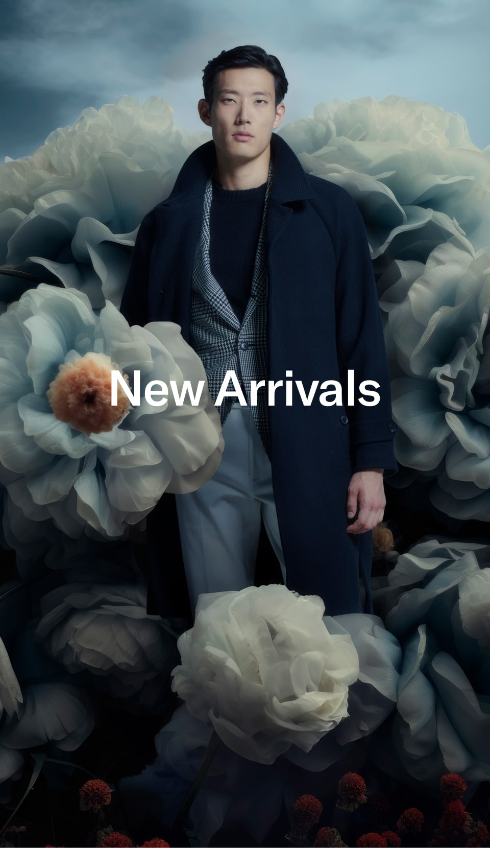 New Arrivals