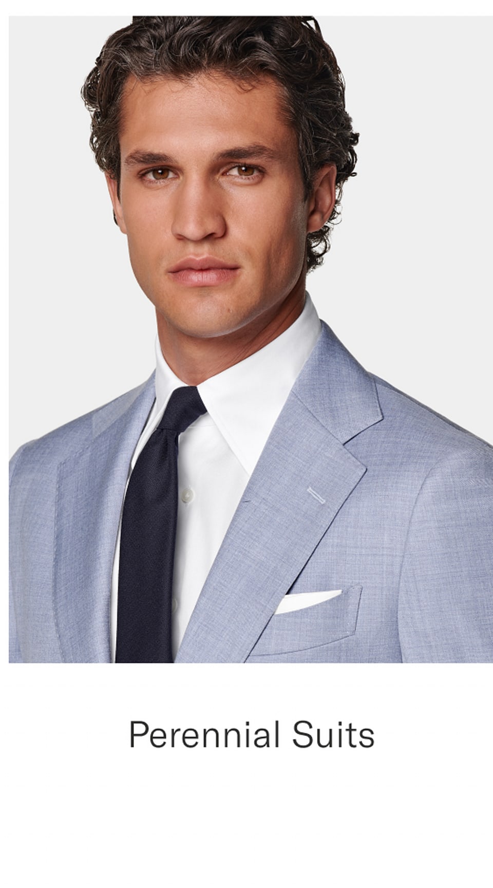Perennial Suits