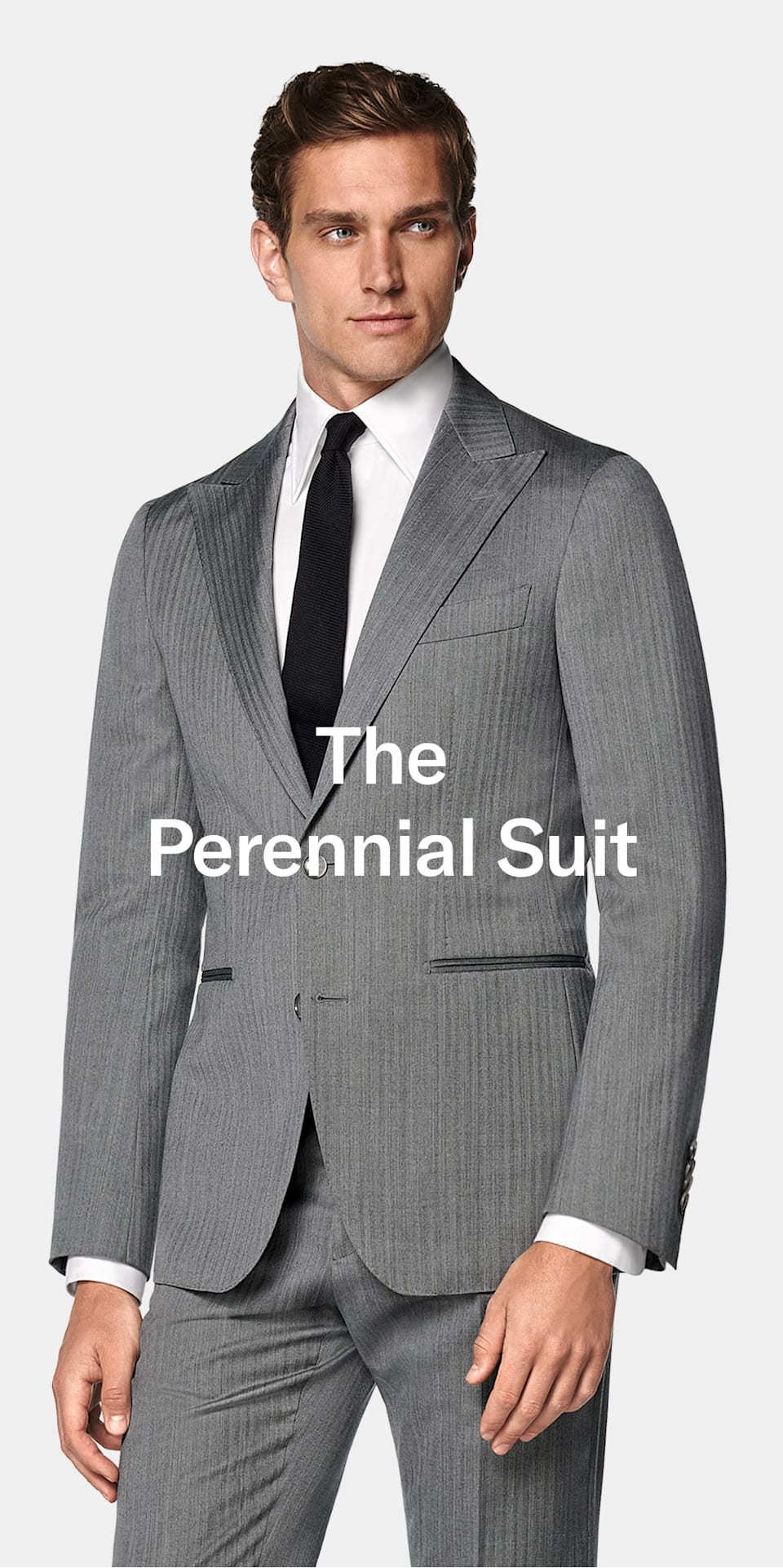 The Perennial Suit