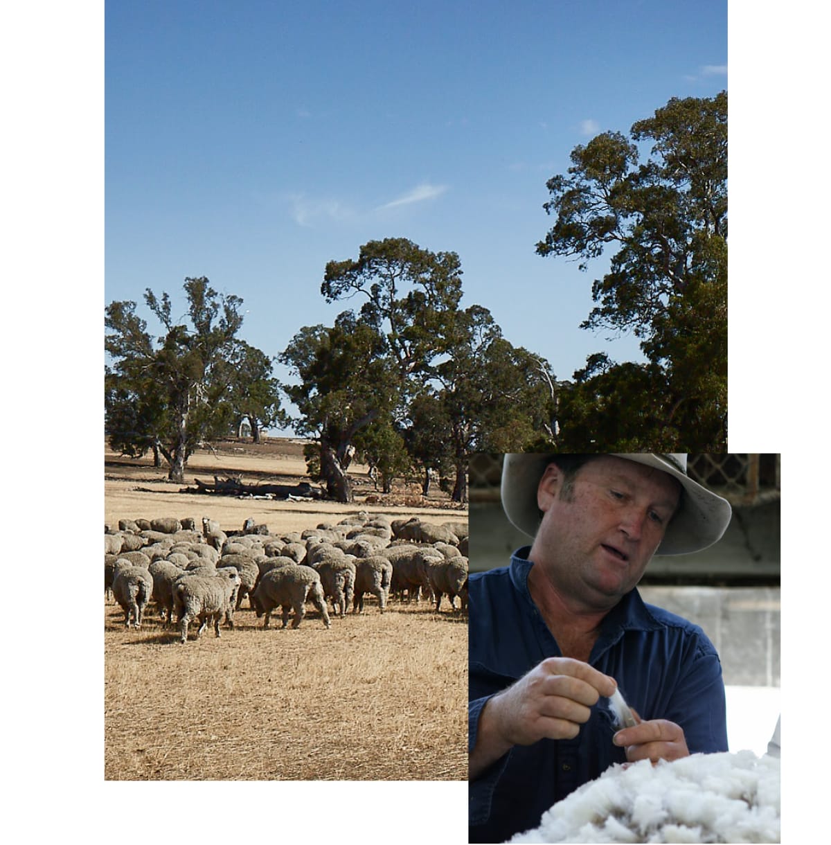 Craftsmanship | Australian Merino