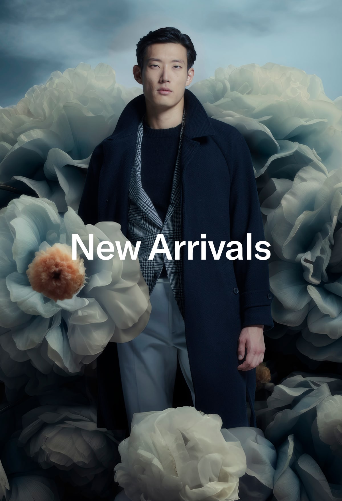 New Arrivals