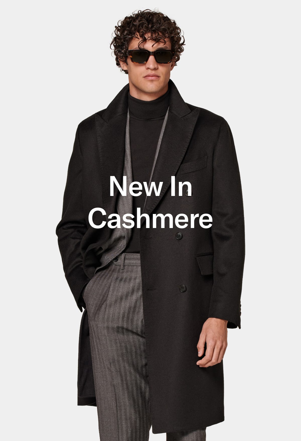 New In Cashmere
