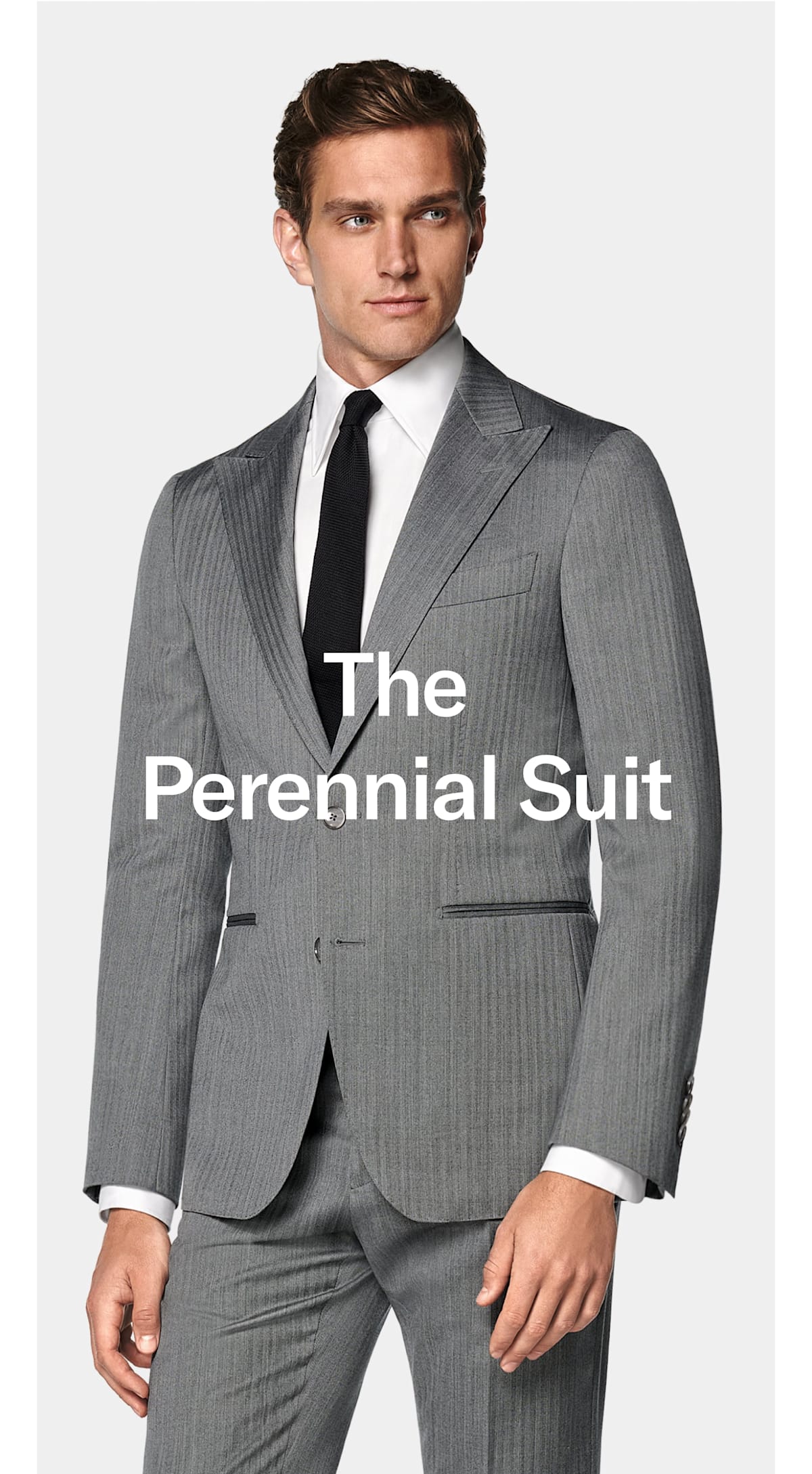 The Perennial Suit