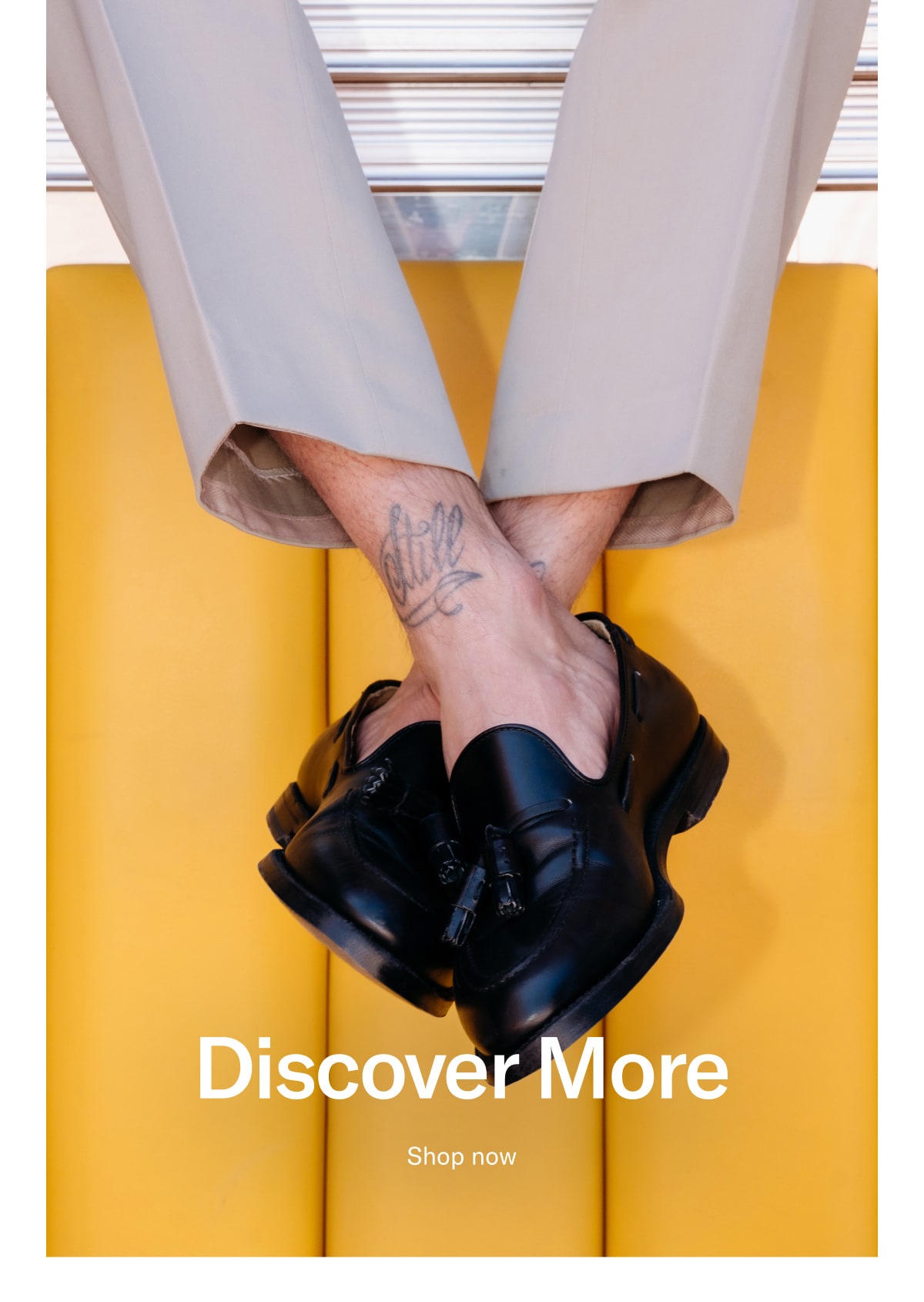 Discover more